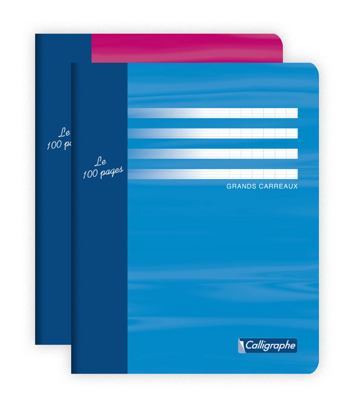 Calligrapher 5422C A Stapled Essay Notebook (a Clairefontaine Brand) - 17x22 cm - 96 Seyes Ruled Pages - 56 g Paper - Offset Card Cover - Random Colour