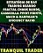 Livro ESTRATÉGIA DE DAY TRADING USANDO FRACTAL CHAOS BANDS, CAMARILLA PIVOT POINTS, MACD & KAUFMAN'S EFICIENCY RATIO
