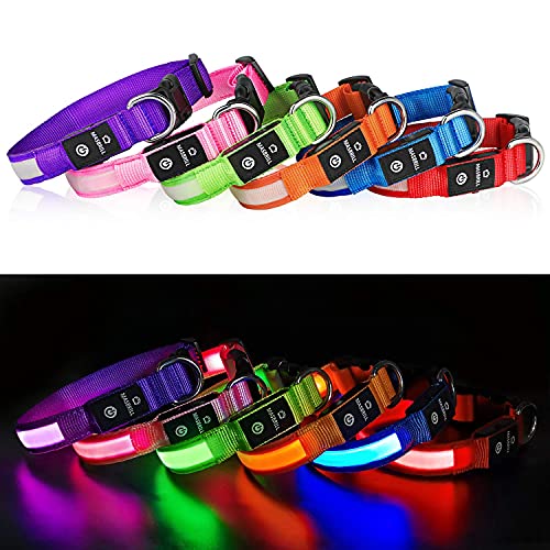 MASBRILL Light Up Dog CollarsLED Dog Collar Rechargeable Waterproof
