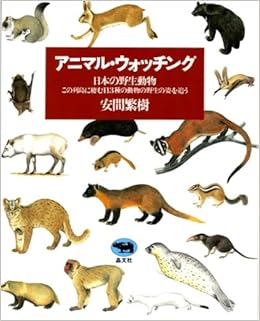 アニマル ウォッチング 日本の野生動物 安間 繁樹 本 通販 Amazon