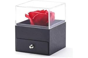 Preserved Red Rose with I Love You Necklace 100 Languages, Gifts for Women (Girlfriend Wife Sister Mom Grandma) for Valentine