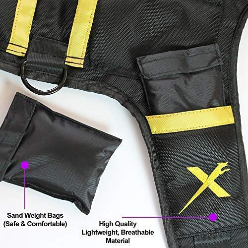 XDOG Weight & Fitness Vest for Dogs A Weighted Dog Vest Used to Build