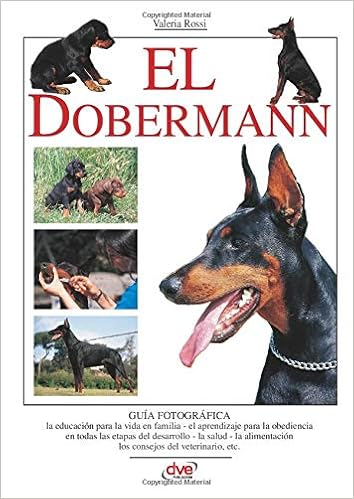doberman amazon