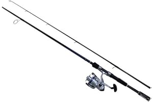 Daiwa DShock Combo Spinning Reel (2 Piece), 7'