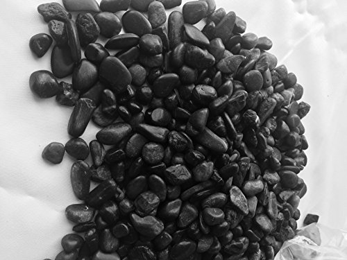 Easythru TradingDecorative Garden Pebbles/River Rocks Used for Outdoor Landscaping or Indoor Projects (Fish Tanks and Potted Plants) 30 lbs (Large, Black)