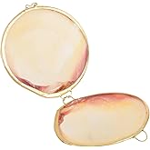 COHEALI Box Shell Jewelry Holder Earring Holder Metal Seashell Figurine Pendant Case Delicate Jewelry Organizer White Child Natural Freshwater Shells Showcase