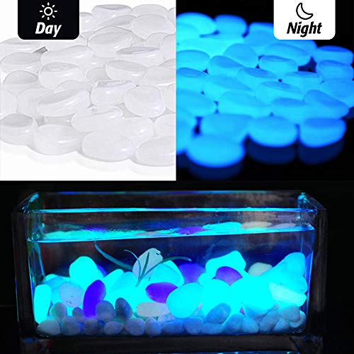 SallyFashion Leuchtsteine, 500g Leuchtende Kieselsteine Leuchtkiesel Dekosteine für Gehwege Aquarium Pflanzen Garten Kinderzimmer Dekoration