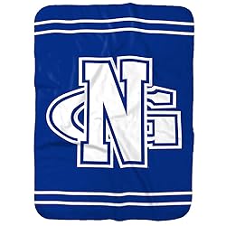 University of North Georgia Primary Logo Stripes