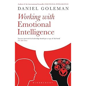 Working with Emotional Intelligence