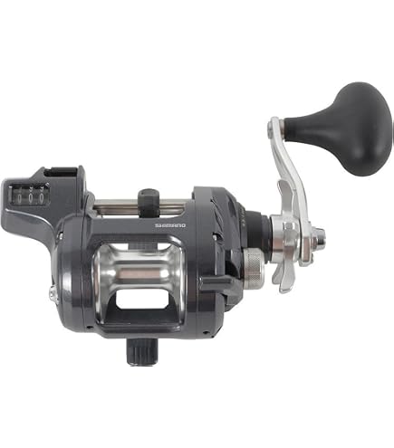 aenmil fishing reels Ashconfish Saltwater Fishing Reel With Bite Alarm