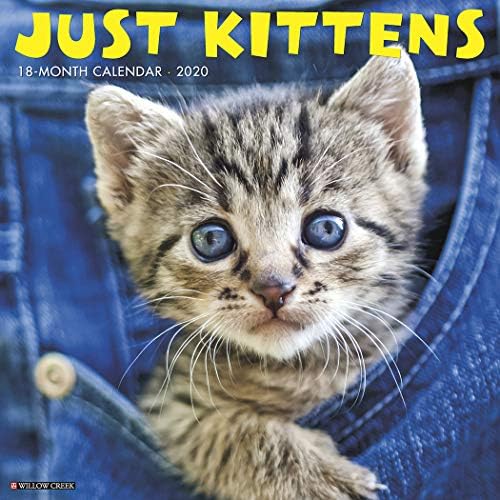 Just Kittens 2020 Wall Calendar