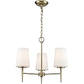 Asher Hamilton Lighting Montgomery 3-Light Chandelier | Brushed Gold Finish with White Frosted Glass Shade | Adjustable Hangi