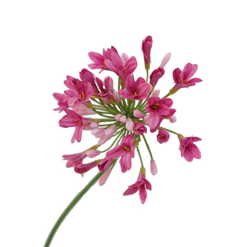 BQEE Artificial Flowers 3PCS African agapanthus Fake Silk Rose for Wedding Centerpieces (Pink)