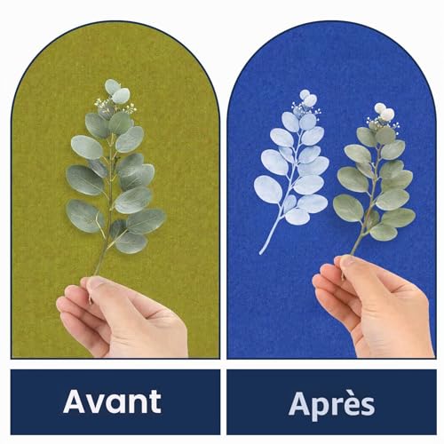 EIGTWEN 250ml cyanotype kit includes 2 components for cyanotype solution sensitizing for photo projects on paper and fabric, solar printing kit for DIY projects