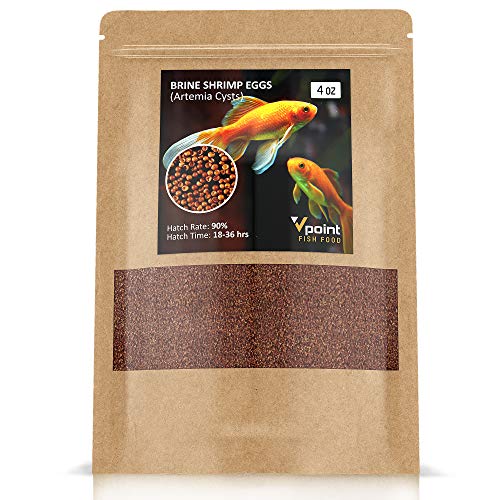 Brine shrimp eggs live brine shrimp for fish best freshwater fish