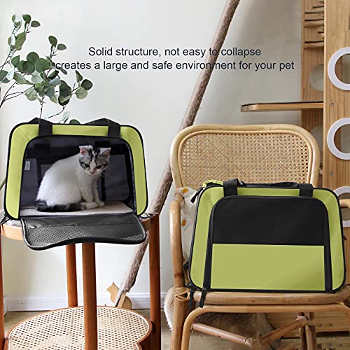 Pet Carrier TSA Airline Approved Cat Carrier Soft Sided Dog Carrier Collapsible Travel Bag for Small Dogs, Medium Cats up to 15 Lbs (6.8 kg), 16.5\