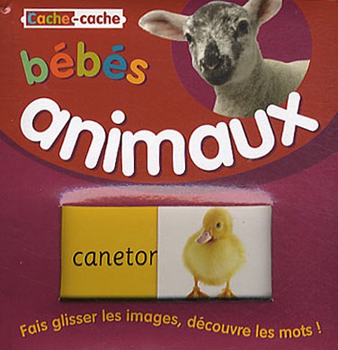 Bébés animaux