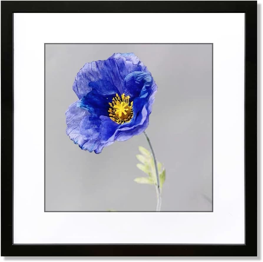 Photo Albums, Frames & Accessories - VNVNK 24x24 Frame Black, Perfect for 24x24 Inch Picture without Mat or 20x20 Inch Picture with Mat, Home Wall Decor Picture Frame-1 PCS