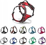 Truelove TLH5651 Dog Harness No-pull Reflective Stitching Brown M view 7
