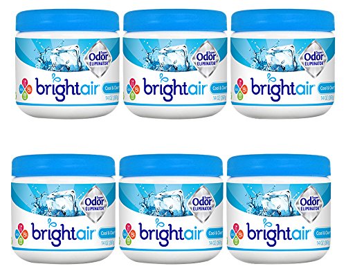 Bright Air 14 oz. Super Odor Eliminator, For Medium-Size Spaces, Cool & Clean Scent, Case of 6,Air Freshener, Natural Essential Oils, Lasts Up to 90 Days Each
