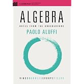 Algebra (Cambridge Mathematical Textbooks)