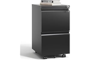 VIYET 2 Drawer Mobile File Cabinet with Lock,Under Desk Metal Filing Cabinet for Home Office,Steel Small Rolling File Cabinet with 2 Keys for Legal/Letter/A4 Size Fully Assembled Except Wheels (Black)