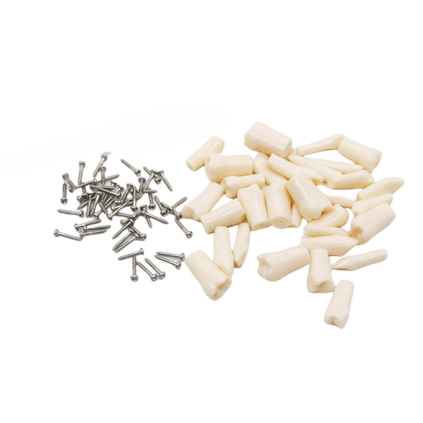 Photo 1 of 32pcs Removable Teeth Piece for Typodont Teeth Model Compatible with Kilgore Nissin for Teaching, Study