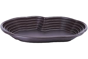 Leefasy Reptile Bathing Dish Pool Reptile Feeding Dish with Ramp Turtle Water Dish for Pet Supplies Frogs Semi Aquatic Bath R