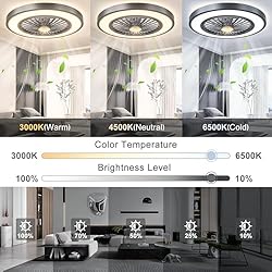 22'' Ceiling Fans with Lights and Remote, DC Motor