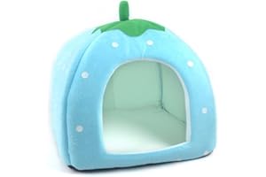 Vedem Pet Portable Strawberry Fleece House Bed for Dog/Cat/Rabbit/Hamster/Guinea-Pigs (M, Blue)