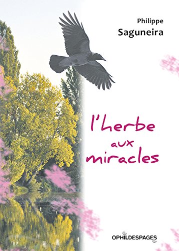 L' herbe aux miracles