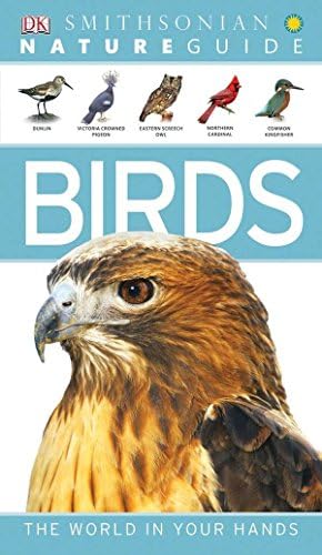 Nature Guide: Birds (Nature Guides)