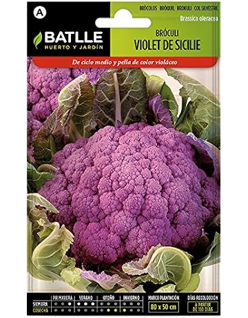 Amazon.es: Kits de cultivo en casa: Jardín