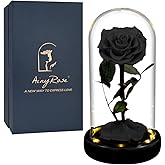 AINYROSE Gift for Women Forever Preserved Rose in Glass Dome with Light, Women Gifts Eternal Beauty Rose Romantic Gift for Her,Mothers Day,Valentines Day,Birthday,Christmas,Anniversary (Black)