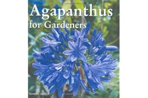 Agapanthus for Gardeners