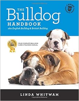 english bulldog british bulldog