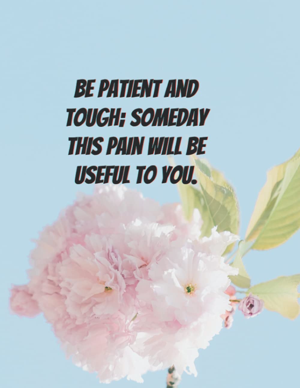 Be Patient And Tough Someday This Pain Will Be Useful To You Amazon - Be Patient And Tough; Someday This Pain Will Be Useful To You.:  Ju, Jk: 9798739980984: Books