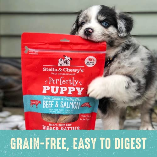 STELLA & CHEWY’S FREEZE DRIED RAW DINNER PATTIES – CRAFTED FOR PUPPIES – GRAIN FREE, PROTEIN RICH PERFECTLY PUPPY BEEF & SALMON RECIPE – 14 OZ BAG
