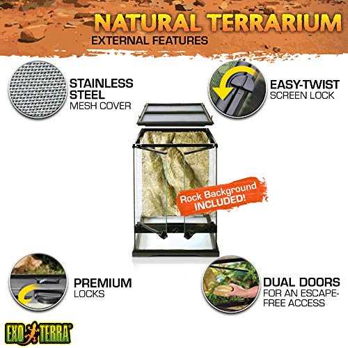 Exo Terra Glass Terrarium Kit, for Reptiles and Amphibians, Mini Tall