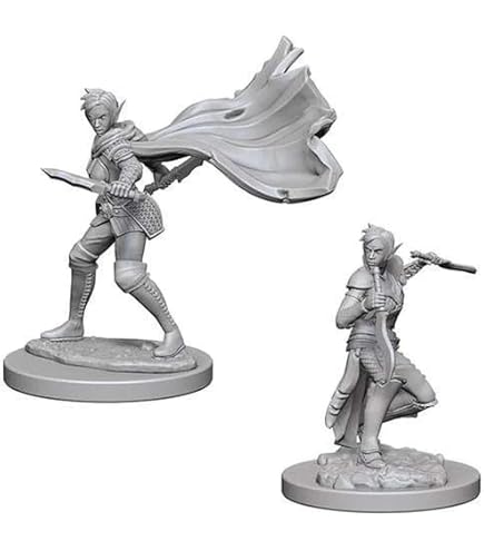 WizKids D&D Nolzur's Marvelous Miniatures: Elf Rogue & Half-Elf Rogue Protégé