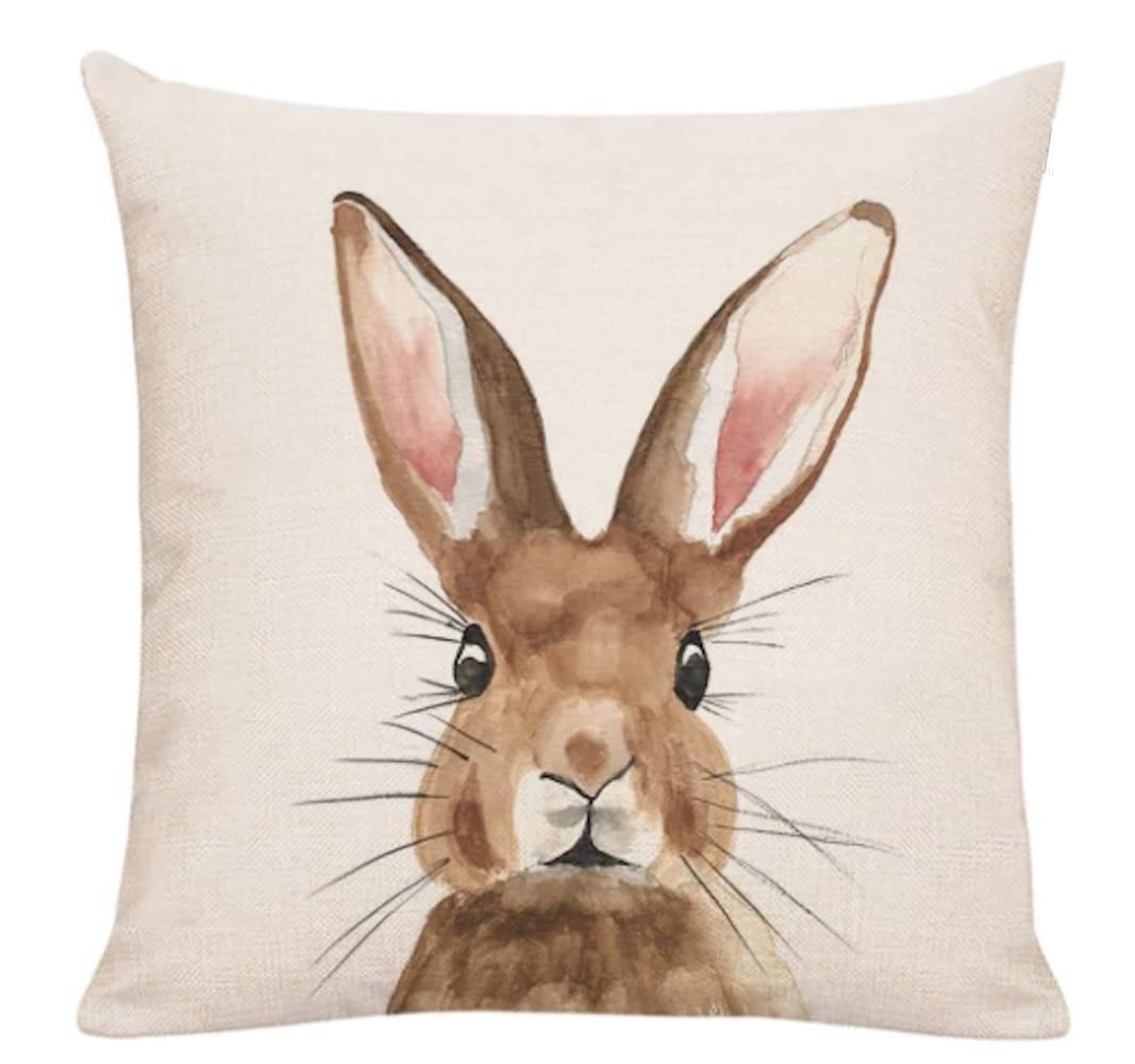 The Beach Stop Decorative Woodland Rabbit Easter Bunny Scatter Cushion Cover | Unique Design Home Decor | Gift Idea | 45x45cm 18x18” | Bunny Rabbit