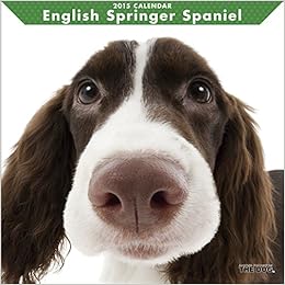 Amazon Co Jp イングリッシュ スプリンガー スパニエル カレンダー 15年 文房具 オフィス用品