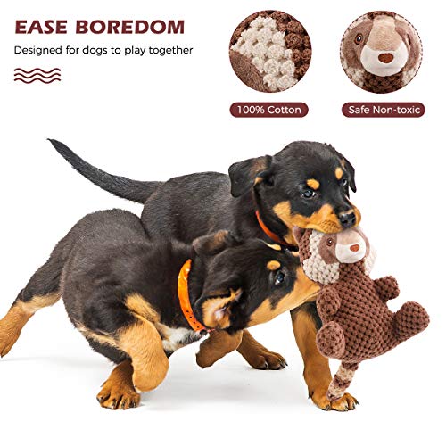 Beewarm Squeaky Dog Chew Toys for Large Medium Small Dogs Lifetime