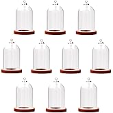 10-Piece Glass Dome Pendant Set with Wooden Base and Hollow Glass Cabochons (Red Coffee, 38x25mm)
