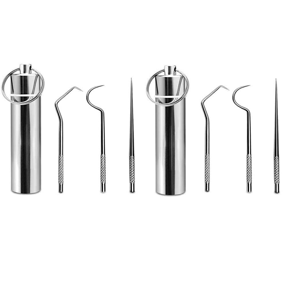 DCQQ 2PCS Stainless Steel Toothpicks Set Keychain Waterproof Cleaning Tooth Hook Scraper Portable Toothpick with Keychain Box Metal Reusable Dental Picks for Outdoor Travel Picnic Camping