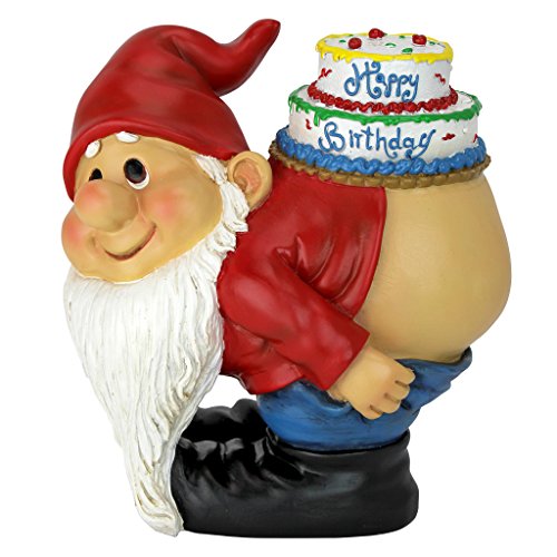 Design Toscano Loonie Moonie - Statua di Gnomo da Giardino con Scritta Happy Birthday, gnomi impertinenti, Statua di gnomi lunari, Multicolore, 14 x 18 x 19 cm