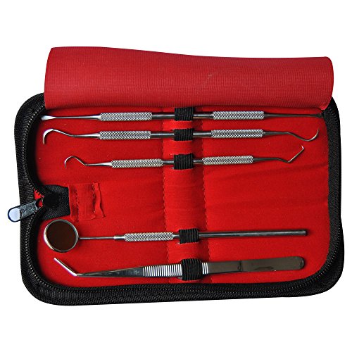 Dental Tools Smile Dent Pro Kit, Stainless Steel Dental Scaler, Mouth