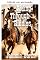 Livro Cavalgando entre enigmas
