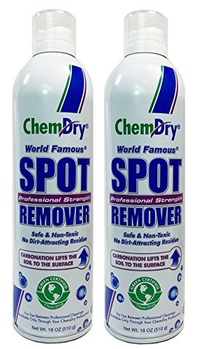 Professional Strength Spot Remover 18oz (2 Pack) by Chem-Dry