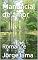 Livro Manancial de amor : Romance